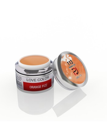 GEL COLOR N. 113 ORANGE FIZZ