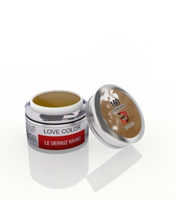 GEL COLOR N.160 LE VERNIZ...