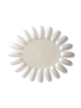 DISPLAY RUOTA
